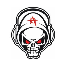 Sticker Masters Skull Anarchy Sticker