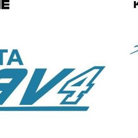 Sticker Masters Toyota Rav 4 Sticker Set
