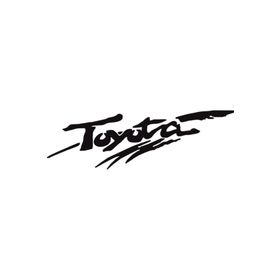 Sticker Masters Toyota Stepne Sticker