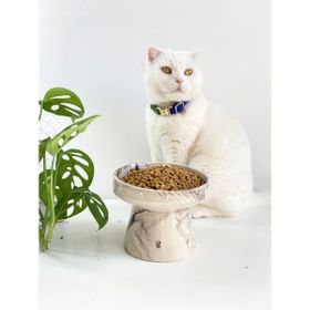 Stilin Bu Kedi Mama Kabı Siyah El Yapımı Seramik