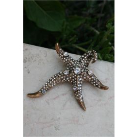 Stoneage RF03751 Kadın Deniz Yıldızı Lüks Bronz Broş