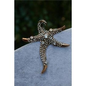 Stoneage RF03751 Kadın Deniz Yıldızı Lüks Bronz Broş