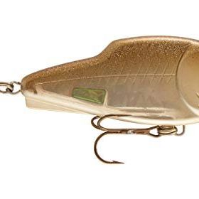 Storm 580 Thunderslide Shad 12 cm Sahte Balık
