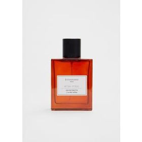 Stradivarius Steel EDT 100 ml Erkek Parfümü