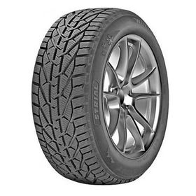 Strial 205/45 R17 88V XLWinter Kış Lastiği