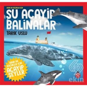 Şu Acayip Balinalar-Tarık Uslu