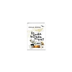 Şu Anda Burada Mıyız? Kolektif Kitap