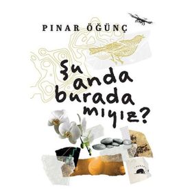 Şu Anda Burada Mıyız? Kolektif Kitap