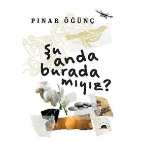 Şu Anda Burada Mıyız? Kolektif Kitap