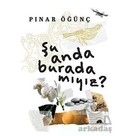 Şu Anda Burada Mıyız? Pınar Öğünç Kolektif Kitap