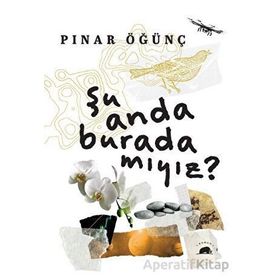 Şu Anda Burada Mıyız? Pınar Öğünç Kolektif Kitap
