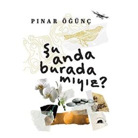 Şu Anda Burada Mıyız? Pınar Öğünç Kolektif Kitap