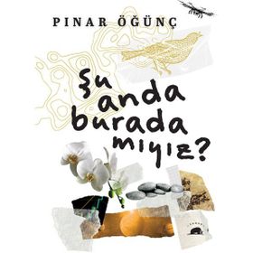 Şu Anda Burada Mıyız? Pınar Öğünç Kolektif Kitap