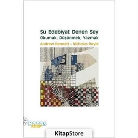Şu Edebiyat Denen Şey - Andrew Bennett Nicolas Royle