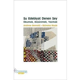 Şu Edebiyat Denen Şey - Andrew Bennett Nicolas Royle