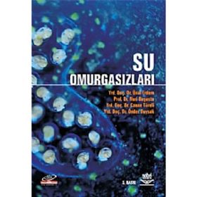 SU OMURGASIZLARI - KOLEKTIF