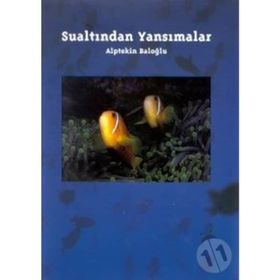 SUALTINDAN YANSIMALAR - ALPTEKIN BALOĞLU