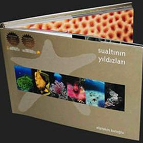 SUALTININ YILDIZLARI - ALPTEKIN BALOĞLU