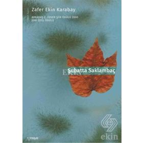 ŞUBATTA SAKLAMBAÇ - ZAFER EKIN KARABAY