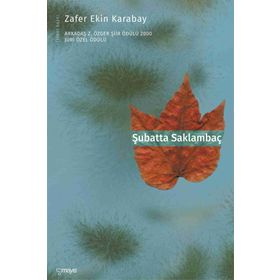 ŞUBATTA SAKLAMBAÇ - ZAFER EKIN KARABAY