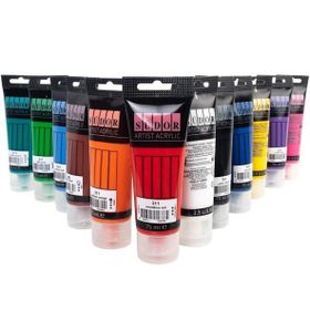 Südor 12x75 ml Akrilik Tüp Set