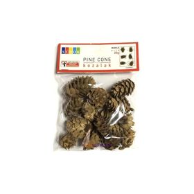 Südor Orta Boy 25 gr Doğal Çam Kozalakları