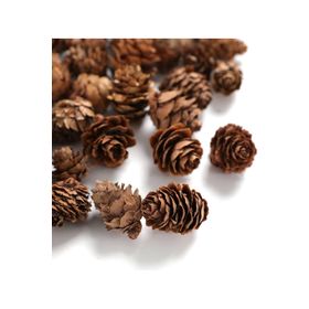 Südor Orta Boy 25 gr Doğal Çam Kozalakları