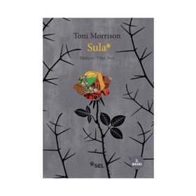 Sula - Toni Morrison