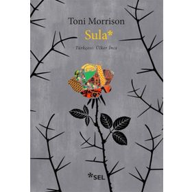Sula - Toni Morrison