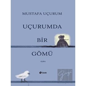Şule Yayınları Uçurumda Bir Gömü