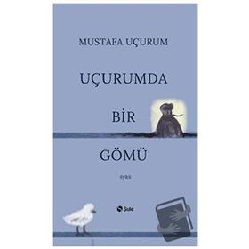 Şule Yayınları Uçurumda Bir Gömü