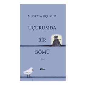 Şule Yayınları Uçurumda Bir Gömü
