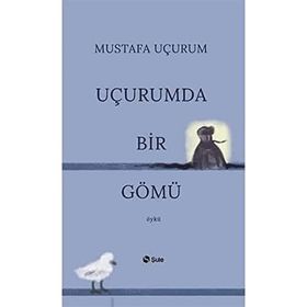 Şule Yayınları Uçurumda Bir Gömü