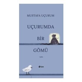 Şule Yayınları Uçurumda Bir Gömü