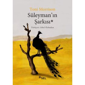 Süleyman'ın Şarkısı - Toni Morrison