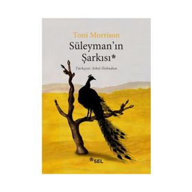 Süleyman'ın Şarkısı - Toni Morrison