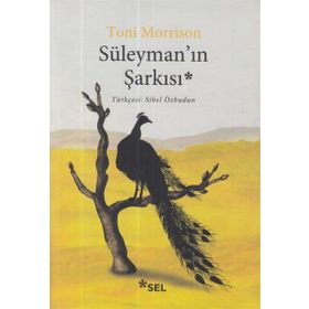 Süleyman'ın Şarkısı - Toni Morrison