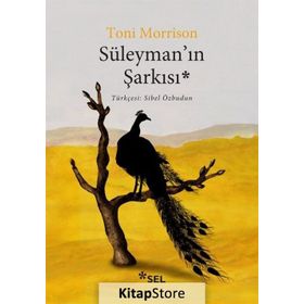 Süleyman'ın Şarkısı - Toni Morrison