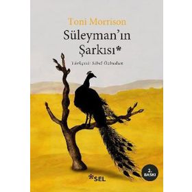 Süleyman'ın Şarkısı - Toni Morrison