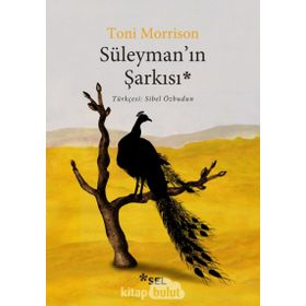Süleyman'ın Şarkısı - Toni Morrison