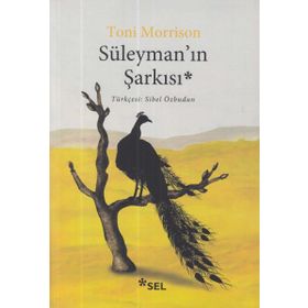 Süleyman'ın Şarkısı - Toni Morrison