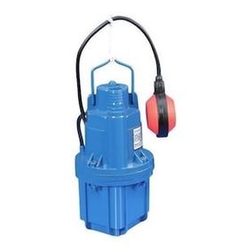 Sumak SDF3 3/4 Elektromanyetik Dalgıç Pompa 30 mt Kablolu, Flatörlü
