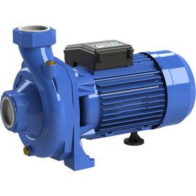 Sumak SM300/2-S Monofaze Santrifüj Pompa