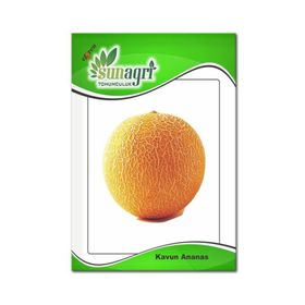 Sunagri 10 gr Ananas Kavun Tohumu