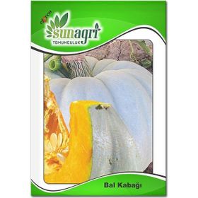 Sunagri 10 gr Bal Kabağı Tohumu