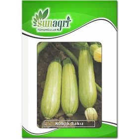 Sunagri 10 gr Beyaz Sakız Kabak Tohumu