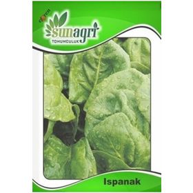 Sunagri 10 gr Ispanak Tohumu