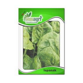 Sunagri 10 gr Ispanak Tohumu