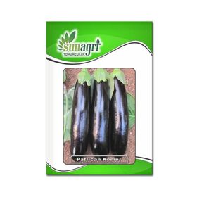 Sunagri 10 gr Kemer Patlıcan Tohumu