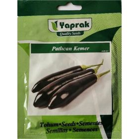 Sunagri 10 gr Kemer Patlıcan Tohumu